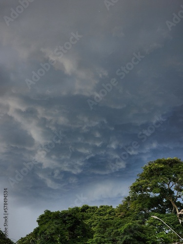 clouds over the forest