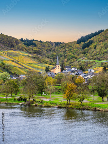 Senheim village and church between steep vinyards and lush mountain during autumn in Cochem-Zell district  Germany