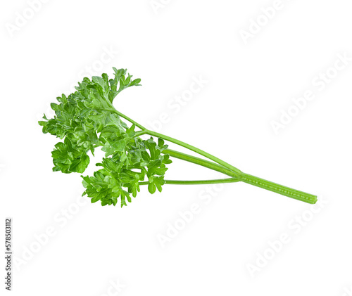 Parsley on transparent png