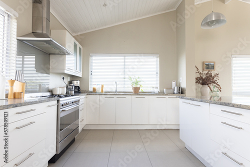 General view of modern kitchen with countertop and kitchen equipment photo