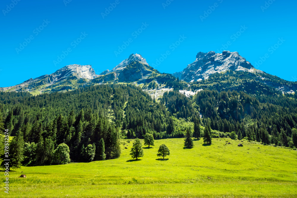 Green grass area with Alps moutain under blue sky, from Switzerland