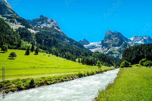 Green grass area and river with Alps moutain under blue sky, from Switzerland