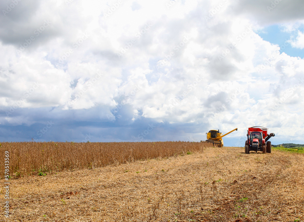 Naklejka premium tractor and harvester harvesting soybeans on a rainy day
