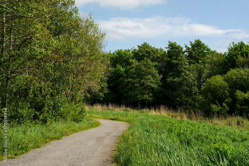 Small foot path in a country side for walking and cycling by a field and forest, Warm sunny day. Pastoral country area. Small foot path in a country side for walking and cycling by a field and forest, Warm sunny day. Pastoral country area.