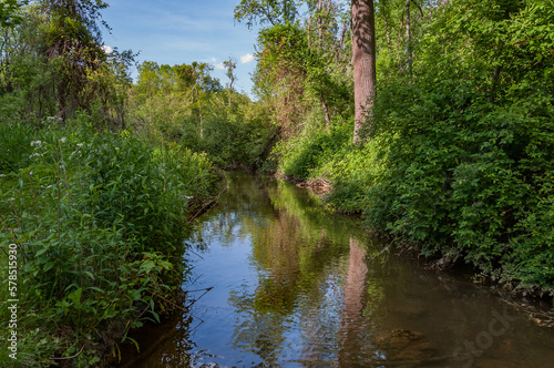 A Creek on a Beautiful Spring Day, York County Pennsylvania USA, Pennsylvania