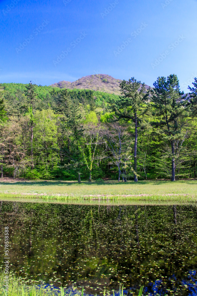 Obraz premium 姫逃池