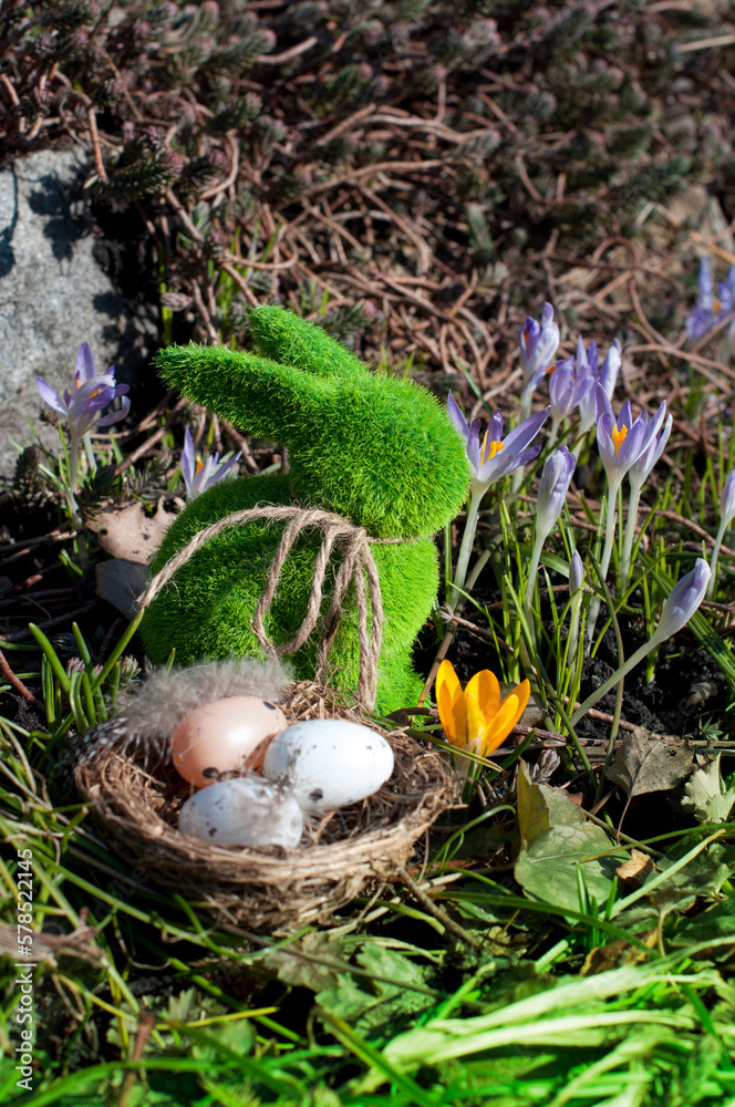 Easter rabbit with a nest of eggs, with purple and yellow crocuses in the grass
