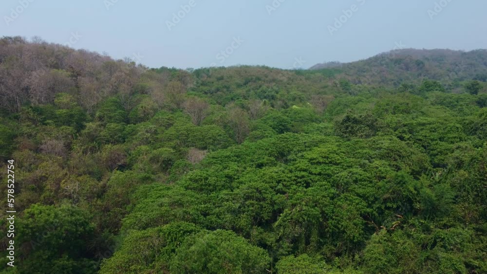 The tropical forest of Thailand is a lively and enthralling environment during the hot season, teaming with life and exploding with colors, scents, and sounds. Travel and leisure concepts in Thailand The tropical forest of Thailand is a lively and enthralling environment during the hot season, teaming with life and exploding with colors, scents, and sounds. Travel and leisure concepts in Thailand