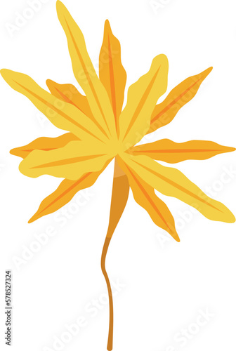 Sea plant leaf icon isometric vector. Marine algae. Green water