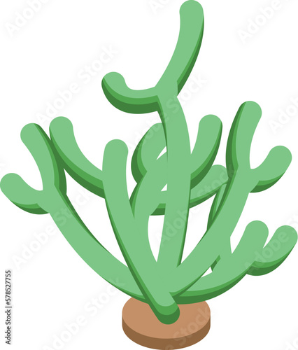 Alga plant icon isometric vector. Sea algae. Marine seaweed