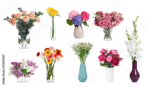 Collage with many beautiful flowers in different vases on white background photo