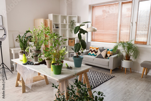 Interior of living room with green houseplants on table