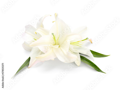 Fototapeta Naklejka Na Ścianę i Meble -  Beautiful lily flowers isolated on white background