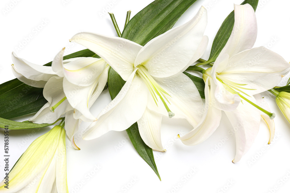 Fototapeta premium Composition with beautiful lily flowers on white background, closeup