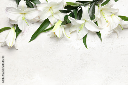 Composition with delicate lily flowers on light background