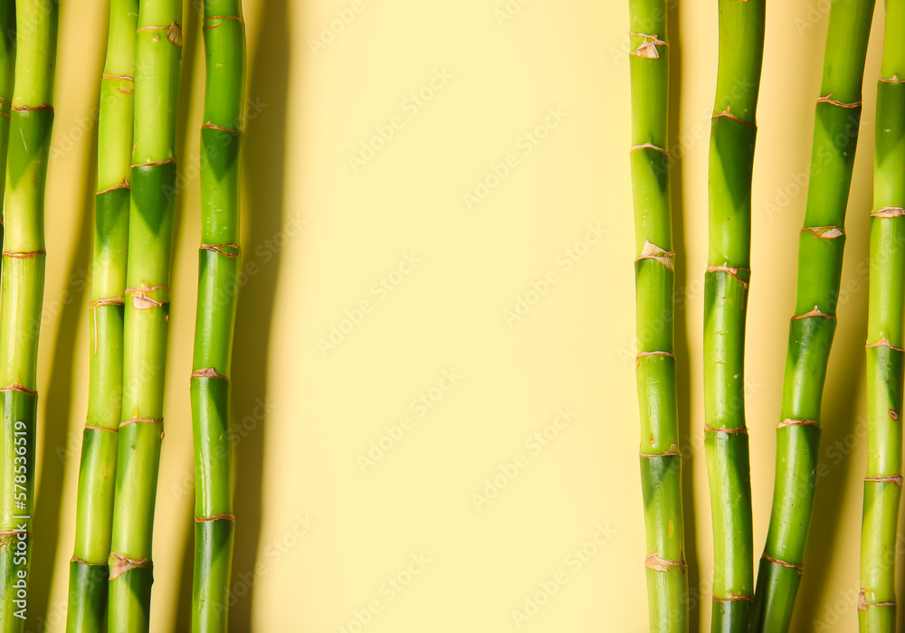 Fototapeta premium Bamboo branches on beige background
