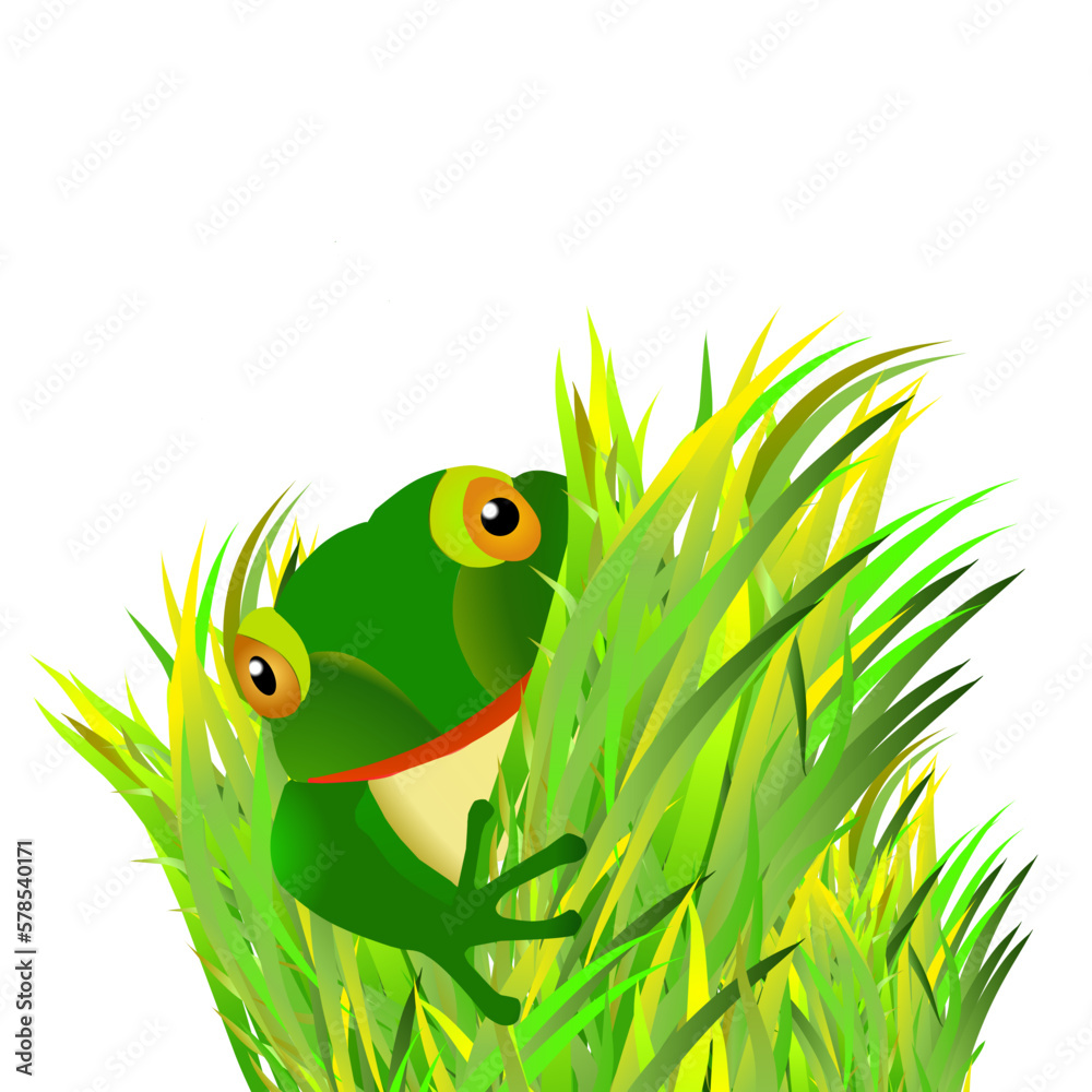 Fototapeta premium frogs peeking from the bushes