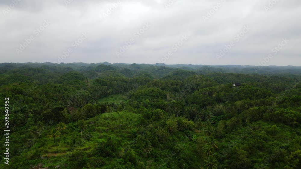 Aerial dolly out over lush tropical jungle in Southeast Asia in cloudy day Aerial dolly out over lush tropical jungle in Southeast Asia in cloudy day