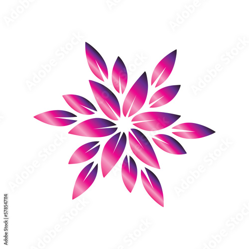 set of pink flower isolated on white. nature  plant  flower  leaf  leaves  beauty  star  decorative  decoration  autumn  bloom  romance  wedding  glossy  pink  clipart  sticker  vector illustration