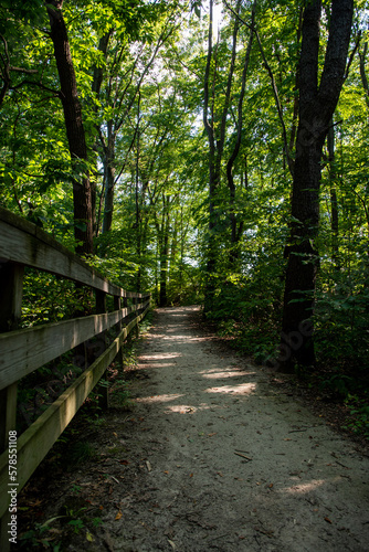 path with rail in the woods