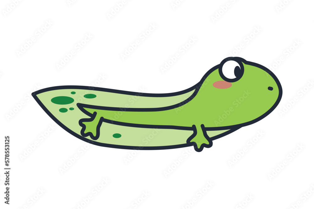 Fototapeta premium tadpole amphibian character