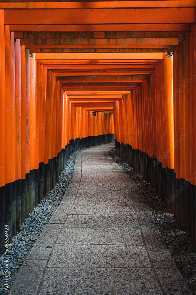 Fototapeta premium Beautiful Path of Red Tori Gates in Japan for a Tranquil Zen Feel