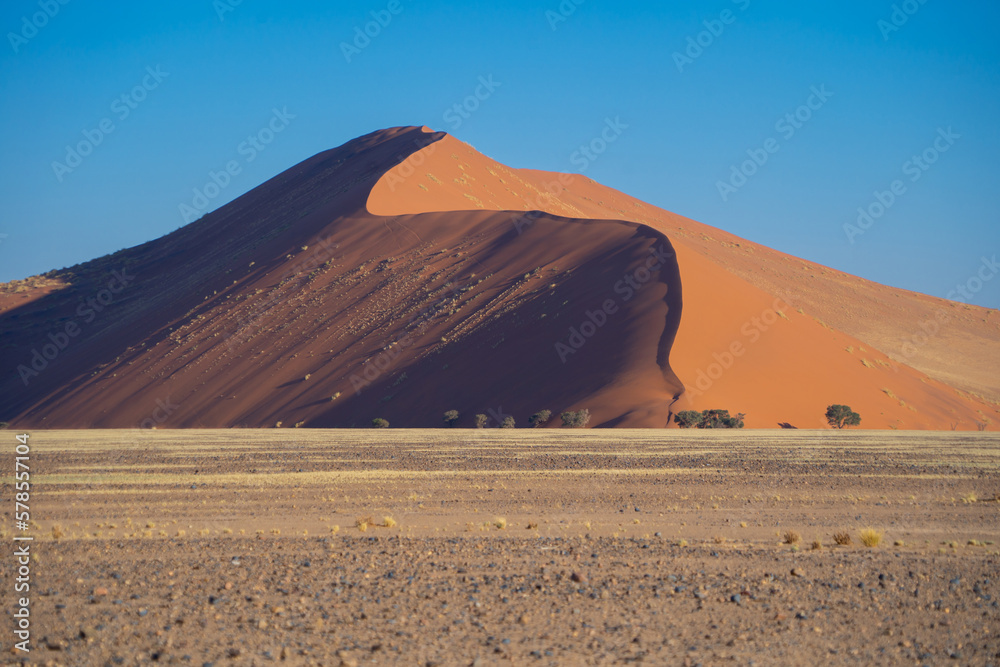 Namib Desert Safari with sand dune in Namibia, South Africa. Natural landscape background at sunset. Famous tourist attraction. Sand in Grand Canyon
