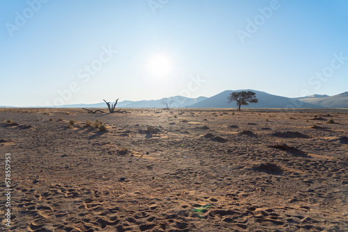 Namib Desert Safari with sand dune in Namibia, South Africa. Natural landscape background at sunset. Famous tourist attraction. Sand in Grand Canyon © tampatra