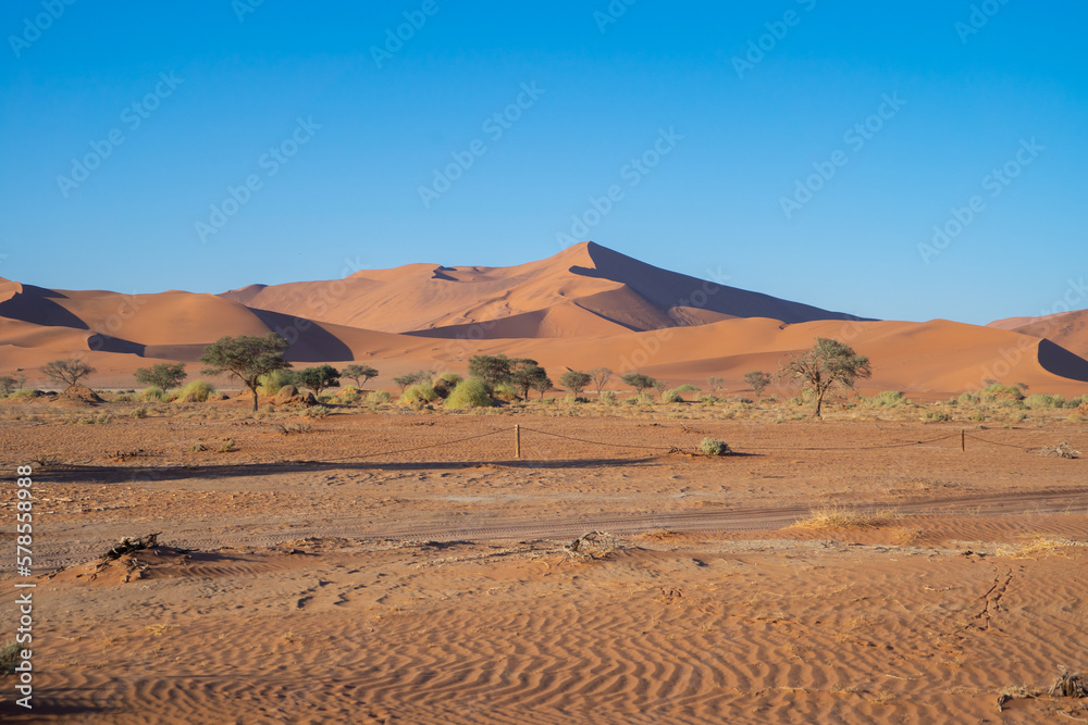Namib Desert Safari with sand dune in Namibia, South Africa. Natural landscape background at sunset. Famous tourist attraction. Sand in Grand Canyon Namib Desert Safari with sand dune in Namibia, South Africa. Natural landscape background at sunset. Famous tourist attraction. Sand in Grand Canyon
