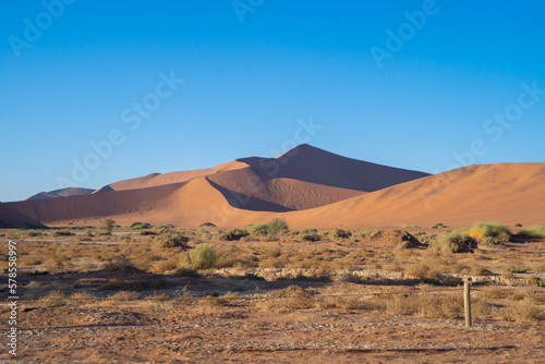 Namib Desert Safari with sand dune in Namibia, South Africa. Natural landscape background at sunset. Famous tourist attraction. Sand in Grand Canyon