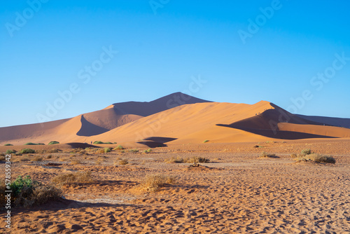 Namib Desert Safari with sand dune in Namibia  South Africa. Natural landscape background at sunset. Famous tourist attraction. Sand in Grand Canyon