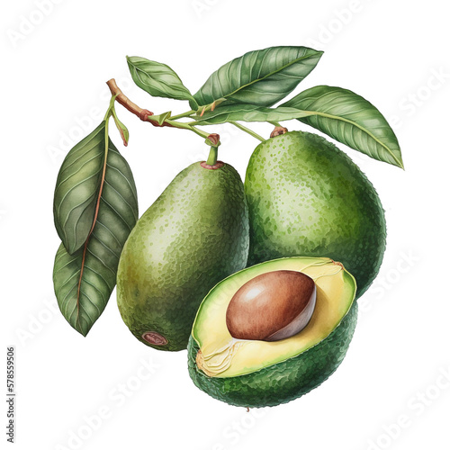 Watercolor Avocado Illustrations. Generative AI