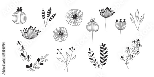 植物のイラストのセット、野の花、野の葉、ボタニカル、ベクター