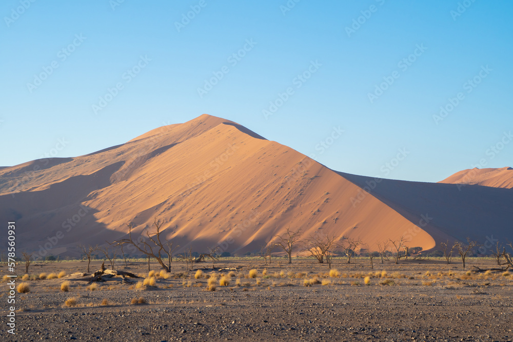 Namib Desert Safari with sand dune in Namibia, South Africa. Natural landscape background at sunset. Famous tourist attraction. Sand in Grand Canyon
