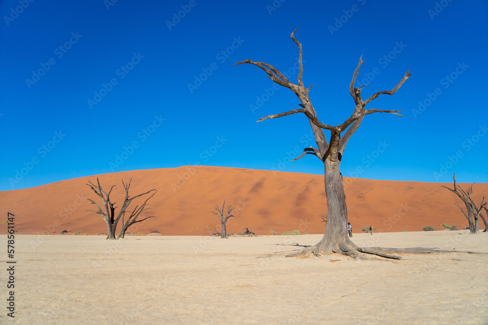 Namib Desert Safari with sand dune in Namibia, South Africa. Natural landscape background at sunset. Famous tourist attraction. Sand in Grand Canyon Namib Desert Safari with sand dune in Namibia, South Africa. Natural landscape background at sunset. Famous tourist attraction. Sand in Grand Canyon