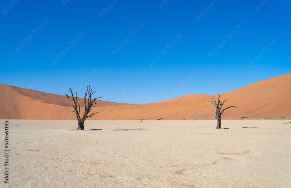 Namib Desert Safari with sand dune in Namibia, South Africa. Natural landscape background at sunset. Famous tourist attraction. Sand in Grand Canyon Namib Desert Safari with sand dune in Namibia, South Africa. Natural landscape background at sunset. Famous tourist attraction. Sand in Grand Canyon