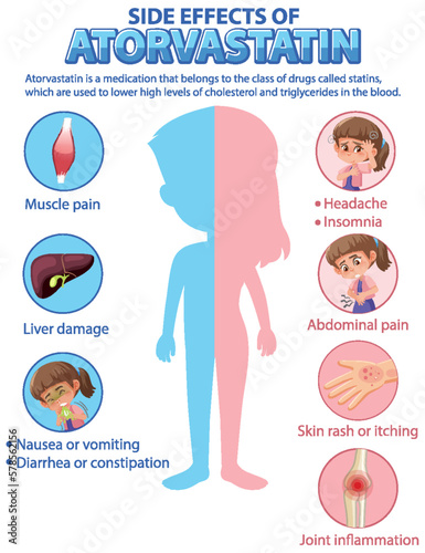 Human anatomy diagram cartoon style of Atorvastatin side effects photo