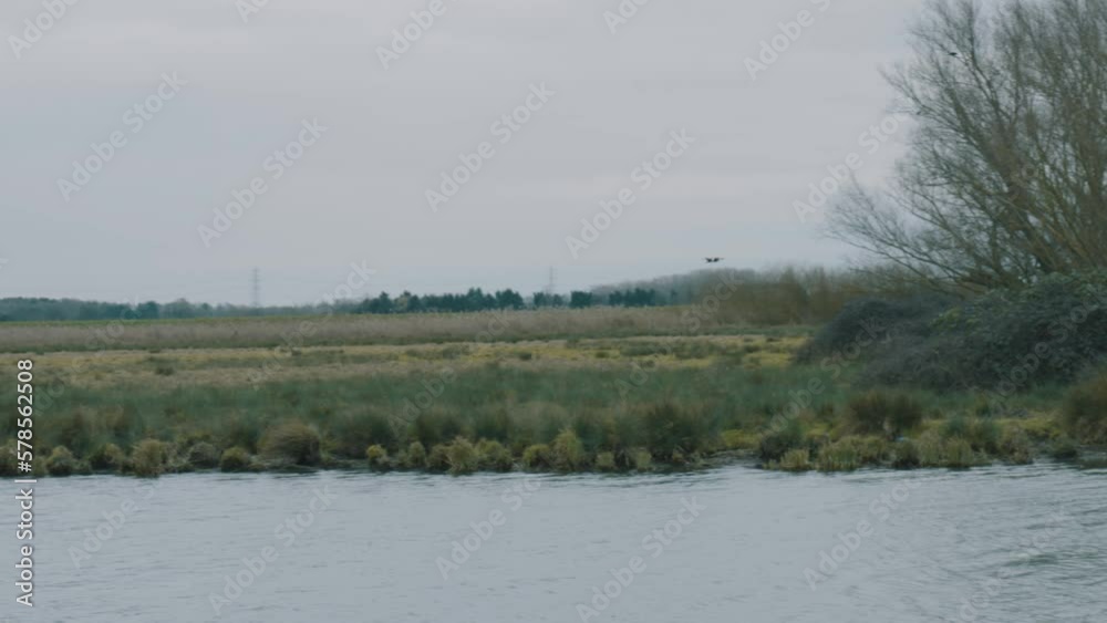 Long panning shot or birds flying over a river bank on a chilly overcast winters day in the Roswell Pits Nature Reserve, Ely England Long panning shot or birds flying over a river bank on a chilly overcast winters day in the Roswell Pits Nature Reserve, Ely England