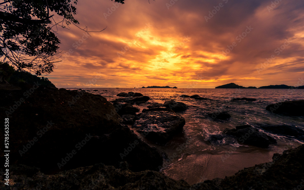 Dramatic sunset at beach with a tree and rocks