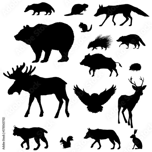 Vector Silhouette Set of Forest Animals