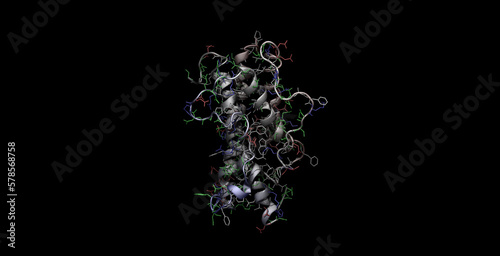 Human growth hormone /somatotropin 3D molecule 4K 