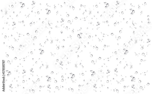 Foto water rain drop drops transparent rainy droplets