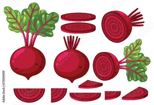 Set of beetroots in different forms