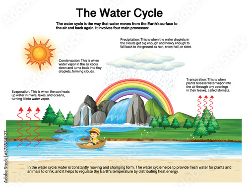 The water cycle diagram for science education