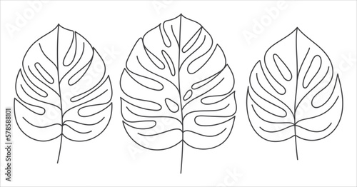 Monstera leaves linear icon set collection. Monstera tropical plant in linear icon. Monstera deliciosa leaves icon pack . Vector illustration