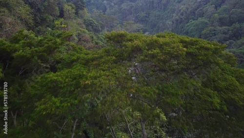 Kilimanjaro Mountain on Sunset Fly across Rain Forest