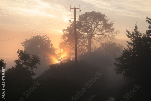 Morning rural landscape with fog.