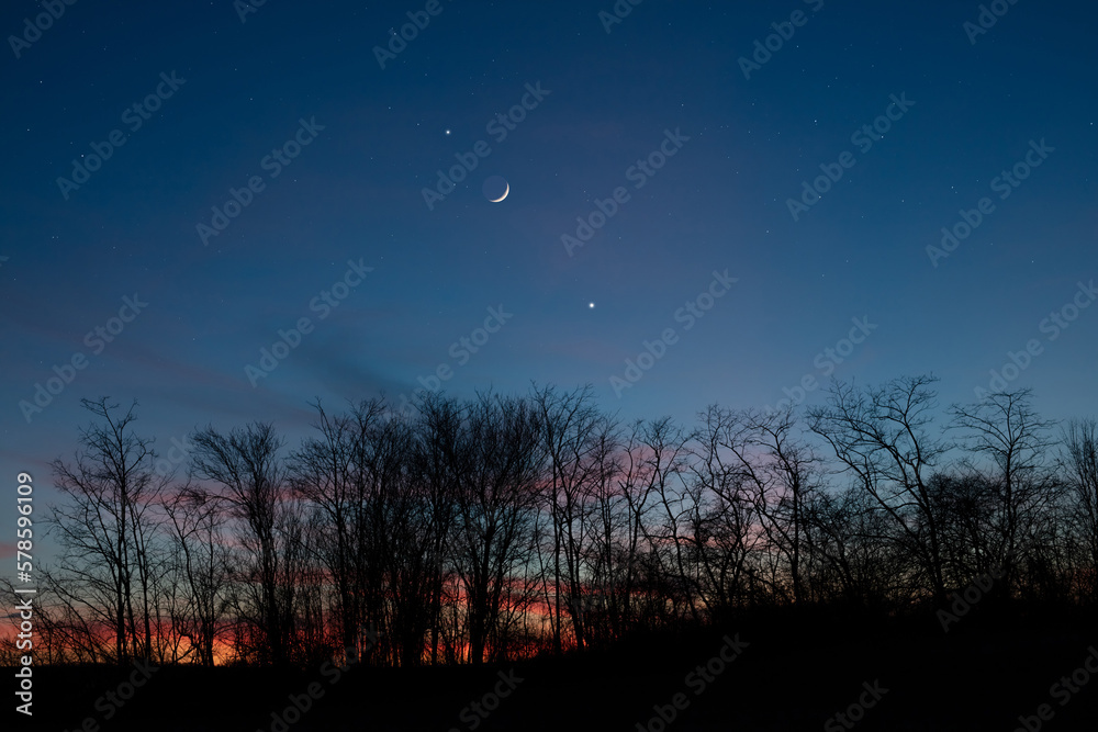 Planets in conjunction with young Moon above tree countryside silhouettes. Planets in conjunction with young Moon above tree countryside silhouettes.