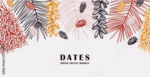 Sketched background with date palm leaves and dried fruit illustrations. Healthy food ingredients sketches in engraved style. Hand drawn oriental sweets vector border. Vintage ripe dates design