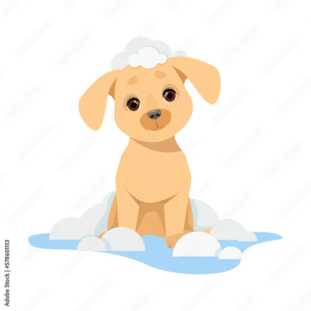 Cute little puppy with water and soap bubbles Cute little puppy with water and soap bubbles
